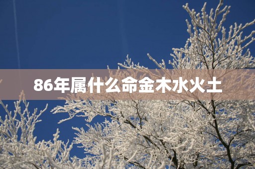 86年属什么命金木水火土