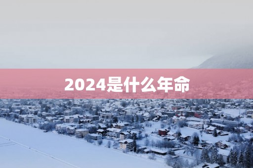 2025是什么年命