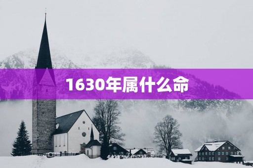 1630年属什么命
