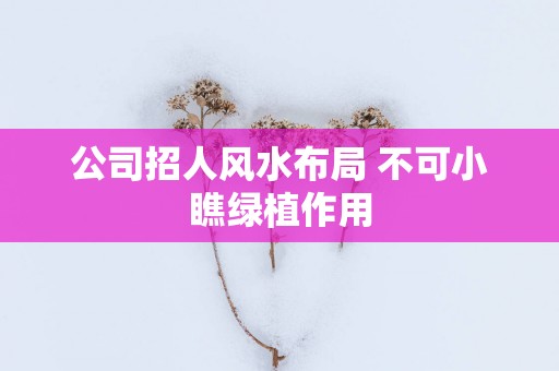 公司招人风水布局 不可小瞧绿植作用