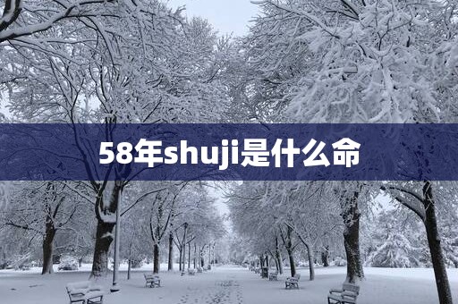 58年shuji是什么命