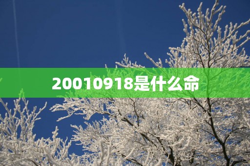 20010918是什么命
