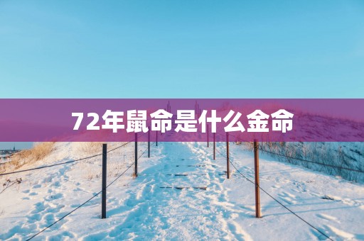 72年鼠命是什么金命