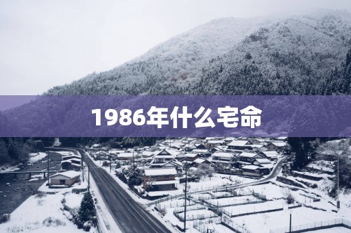 1986年什么宅命