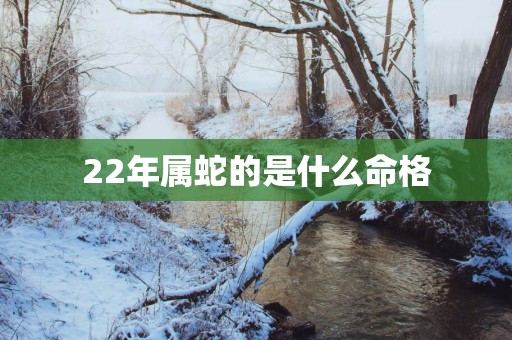 22年属蛇的是什么命格
