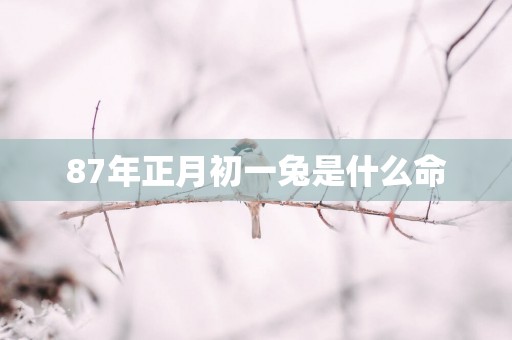 87年正月初一兔是什么命