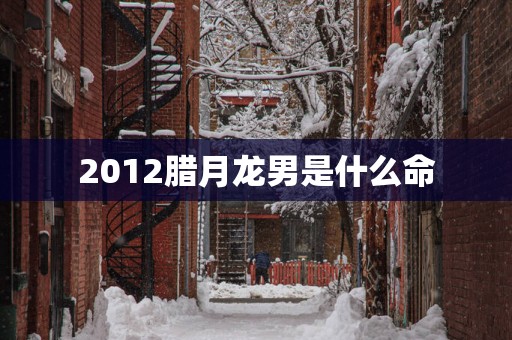 2012腊月龙男是什么命