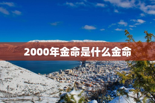 2000年金命是什么金命