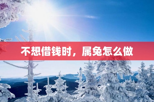 不想借钱时，属兔怎么做