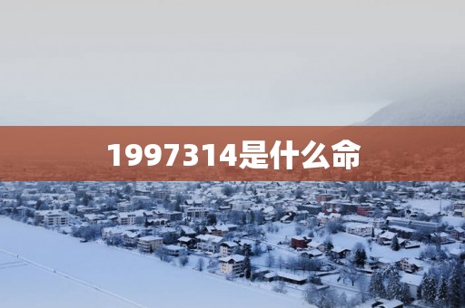 1997314是什么命