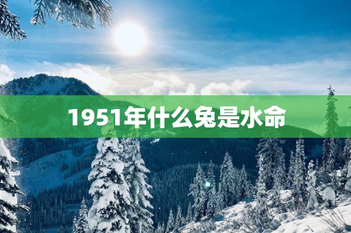 1951年什么兔是水命
