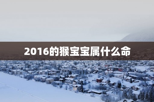 2016的猴宝宝属什么命
