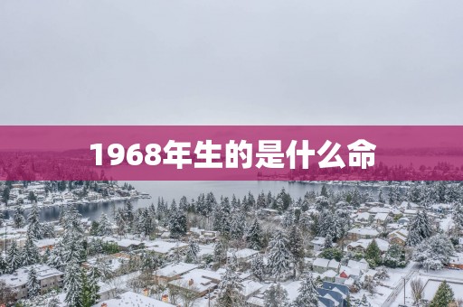 1968年生的是什么命