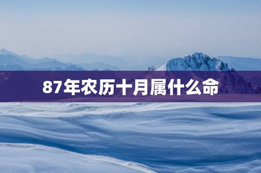 87年农历十月属什么命