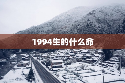 1994生的什么命
