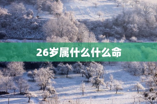 26岁属什么什么命