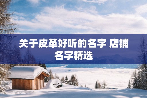 关于皮革好听的名字 店铺名字精选