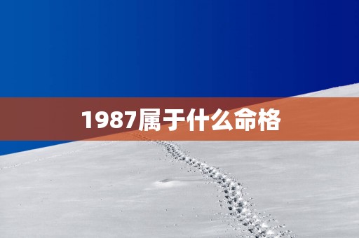 1987属于什么命格