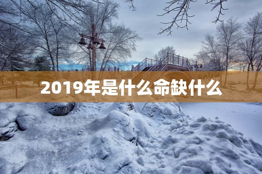 2019年是什么命缺什么