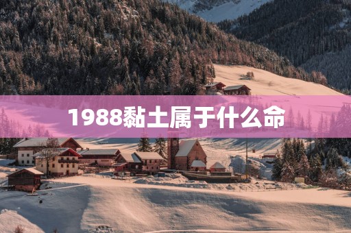 1988黏土属于什么命