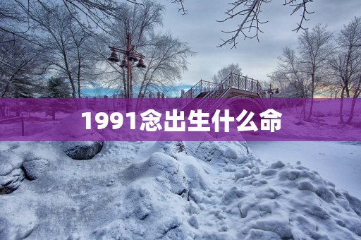 1991念出生什么命