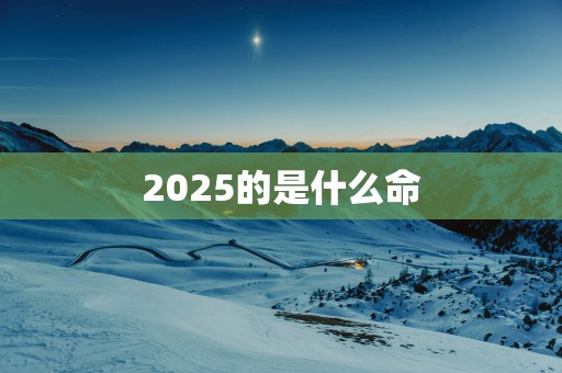 2025的是什么命