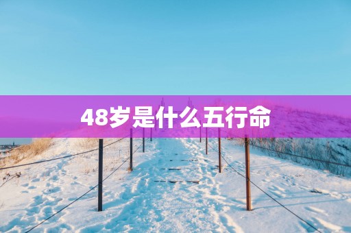 48岁是什么五行命