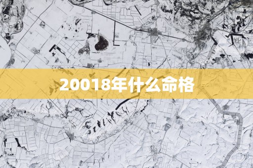 20018年什么命格
