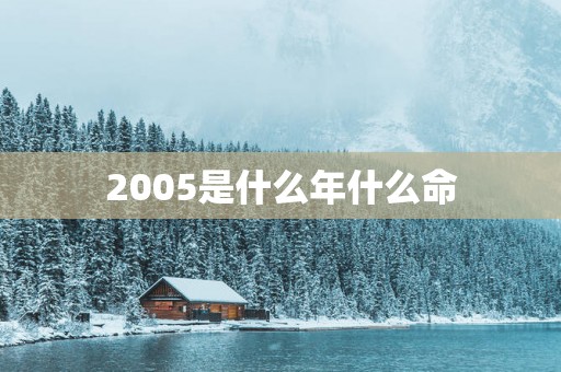 2005是什么年什么命