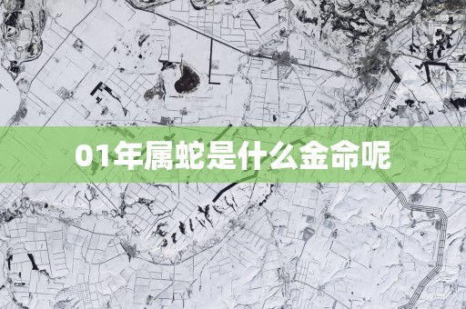 01年属蛇是什么金命呢