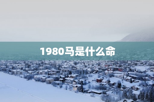 1980马是什么命