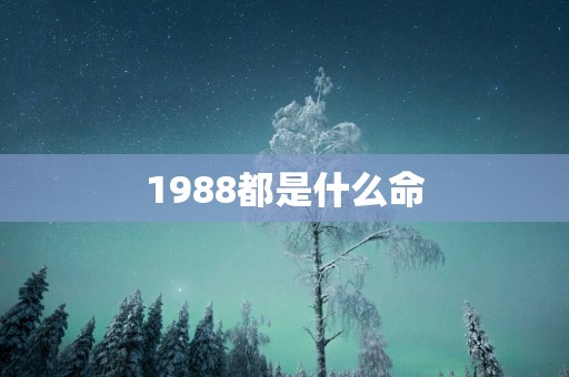 1988都是什么命