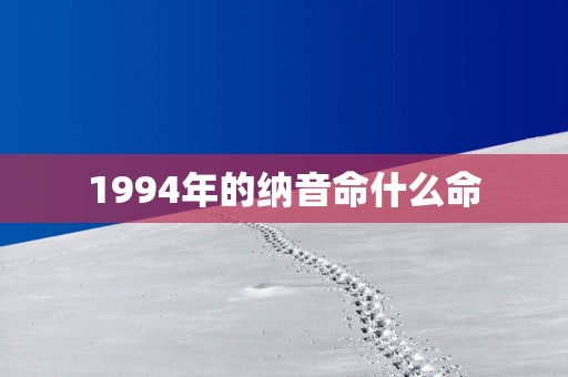 1994年的纳音命什么命
