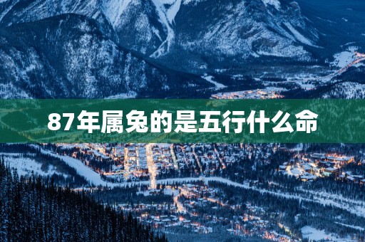87年属兔的是五行什么命