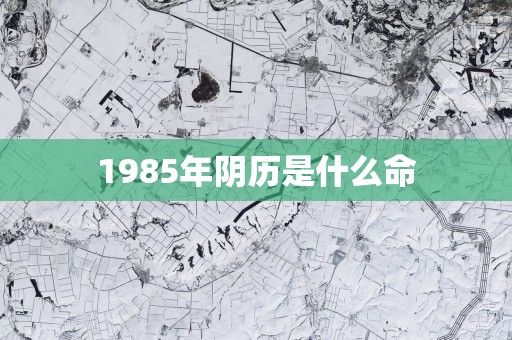 1985年阴历是什么命