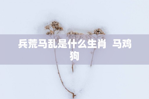 兵荒马乱是什么生肖  马鸡狗