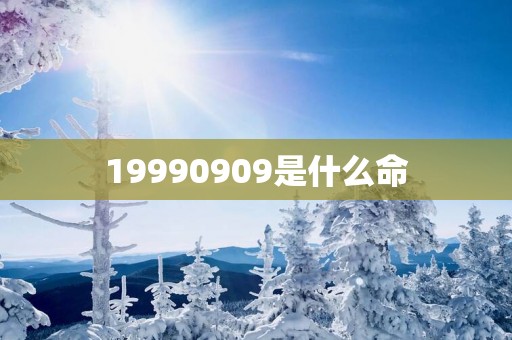 19990909是什么命