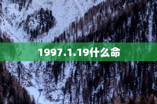 1997.1.19什么命