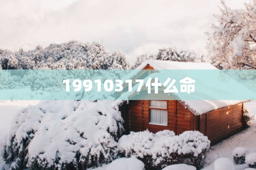 19910317什么命