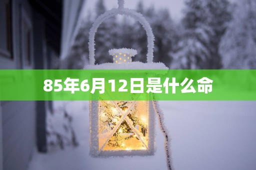 85年6月12日是什么命