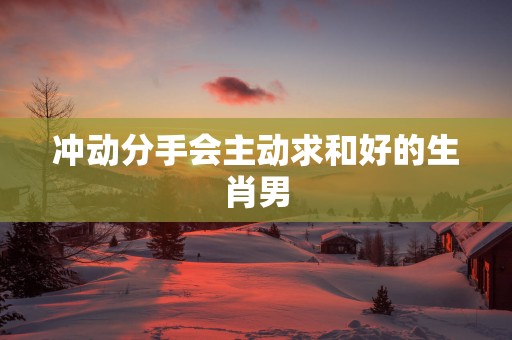 冲动分手会主动求和好的生肖男