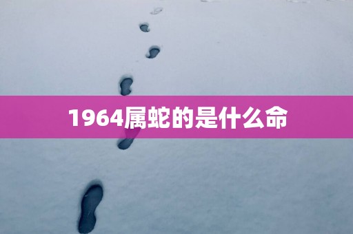 1964属蛇的是什么命