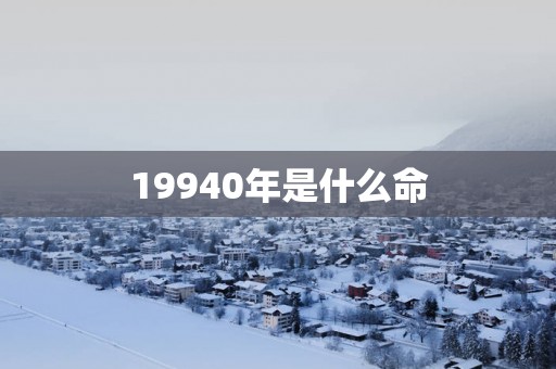 19940年是什么命