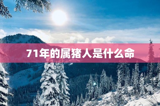 71年的属猪人是什么命