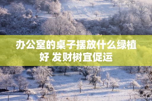 办公室的桌子摆放什么绿植好 发财树宜促运
