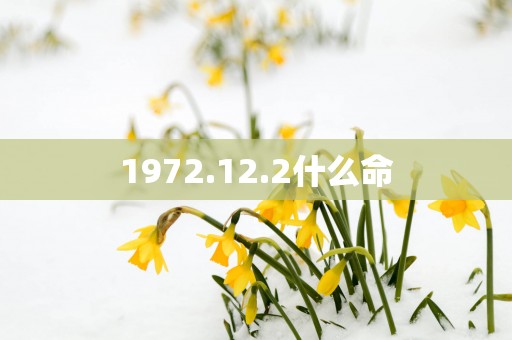 1972.12.2什么命