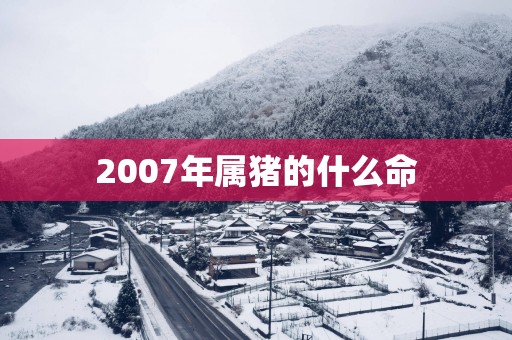 2007年属猪的什么命