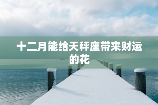 十二月能给天秤座带来财运的花