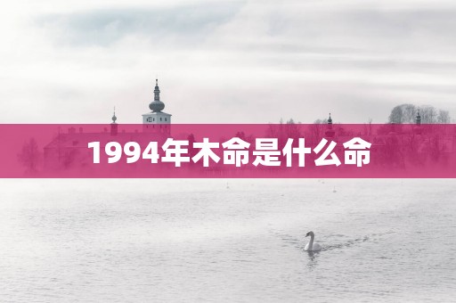 1994年木命是什么命