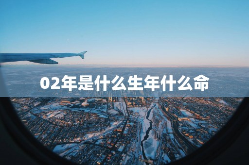 02年是什么生年什么命